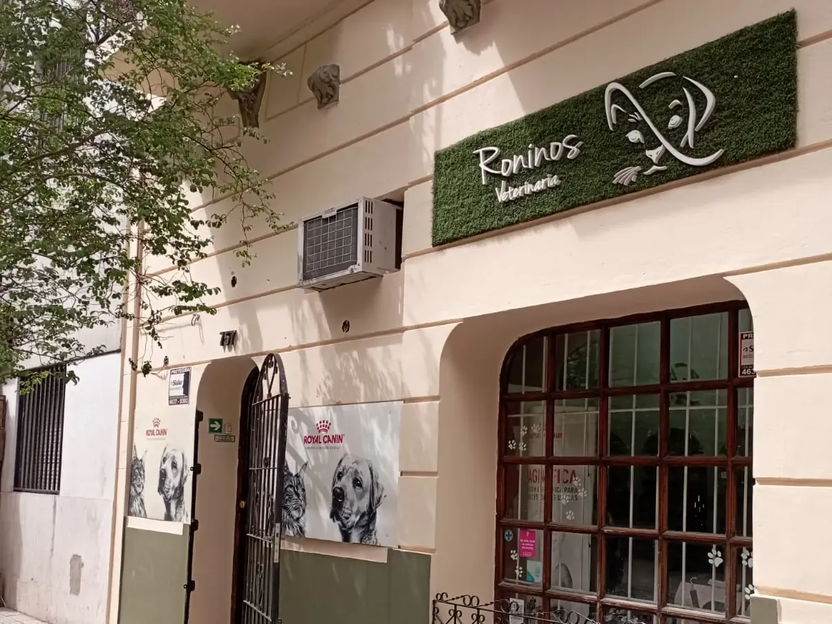 Frente de Roninos en Del Carmen 757: fachada color crema con el cartel de césped y el logo, la puerta de reja y el ventanal de madera, con un árbol en la vereda.