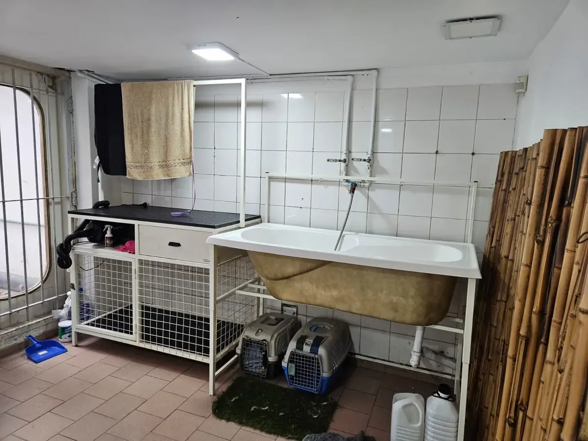 El sector de peluquería de Av. Márquez: bañera con ducha, mesa de peluquería con secador, jaulas de espera y transportadoras.