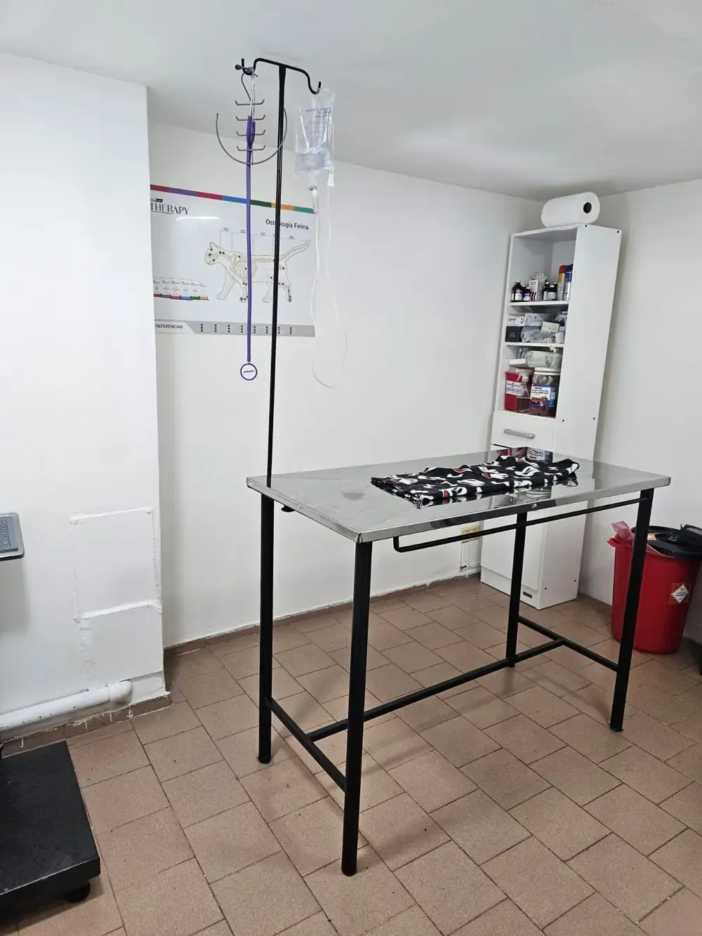 El consultorio de Av. Márquez: mesa de acero, portasueros con suero colgado, balanza en el piso y una lámina de osteología felina en la pared.