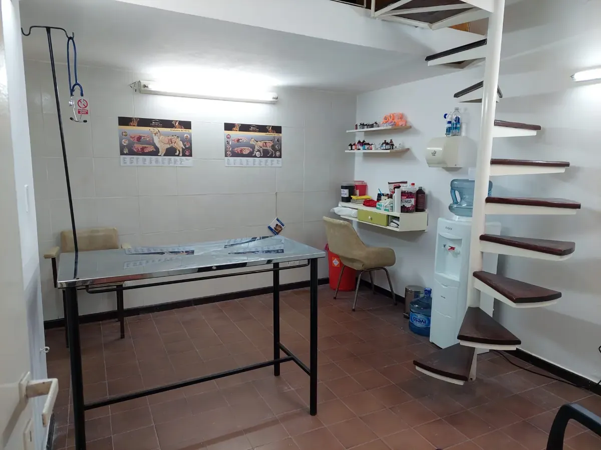 El consultorio de Del Carmen: mesa de acero inoxidable, portasueros, láminas de anatomía de perro y gato en la pared, y la escalera caracol al fondo.