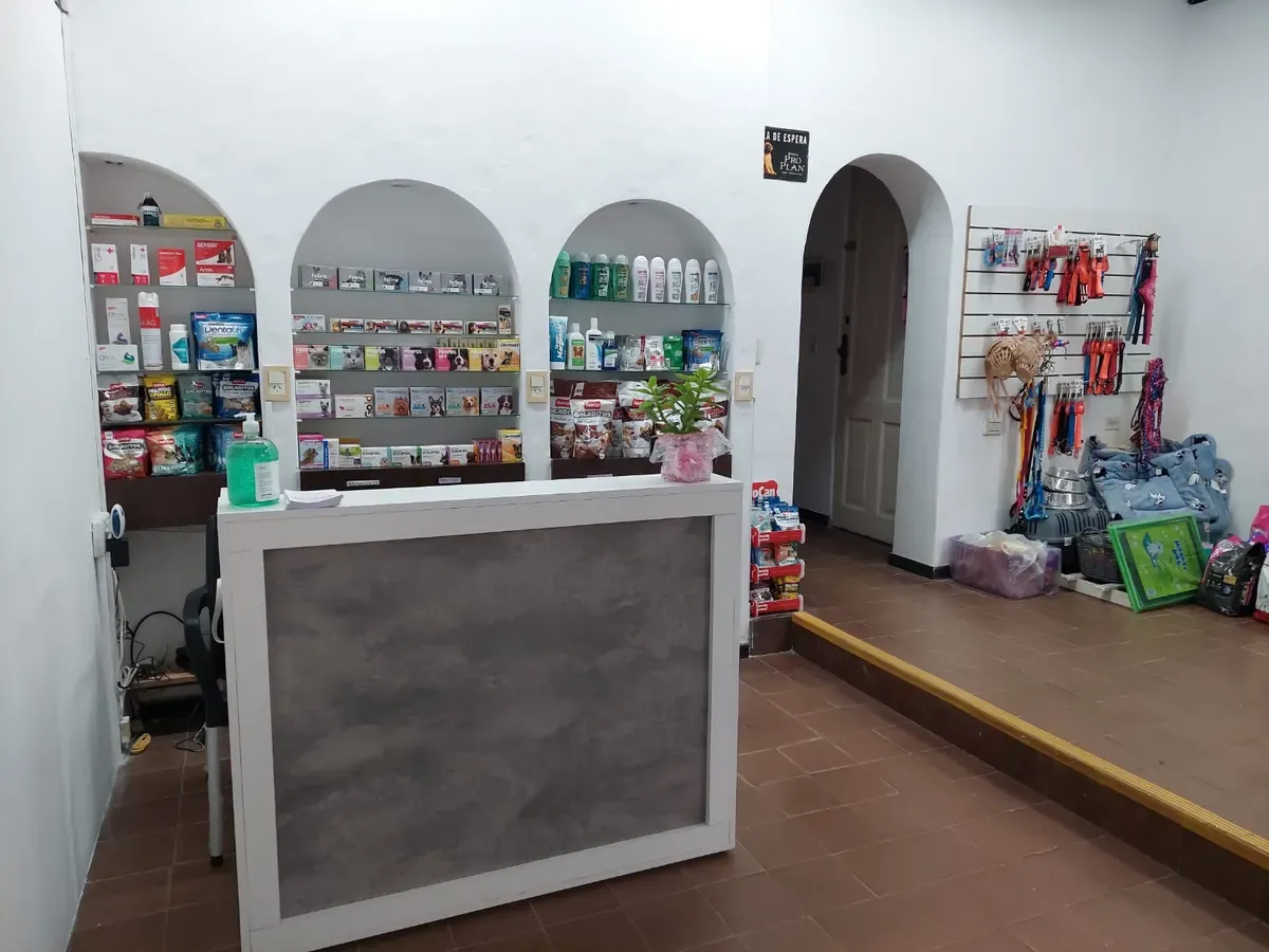 El mostrador de la sucursal de Del Carmen, con tres hornacinas de pared llenas de antiparasitarios, shampoos y medicación, y una pared de accesorios a la derecha.